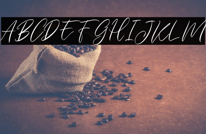 EverlyneFREE Example 1