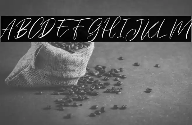 EverlyneFREE Font examples