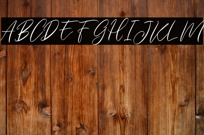 EverlyneFREE Example 2