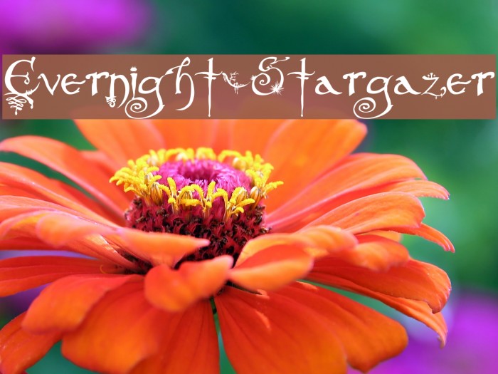 Evernight-Stargazer Font examples