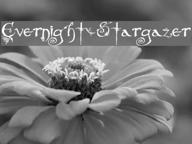 Evernight-Stargazer Example 1