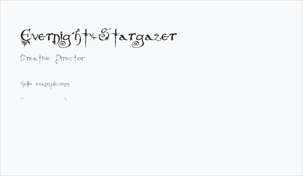 Evernight-Stargazer Business Card