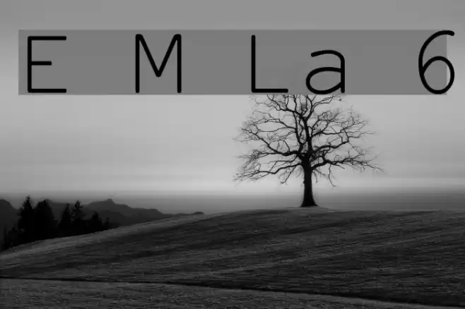 Everson Mono Latin 6 फ़ॉन्ट examples