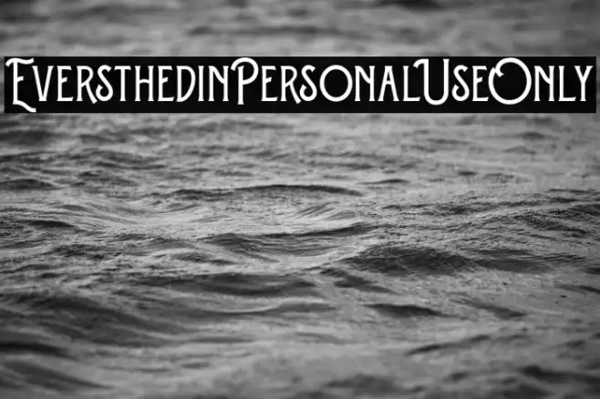 Eversthedin-Personal Use Only Example 1