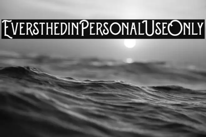 Eversthedin-Personal Use Only Example 3