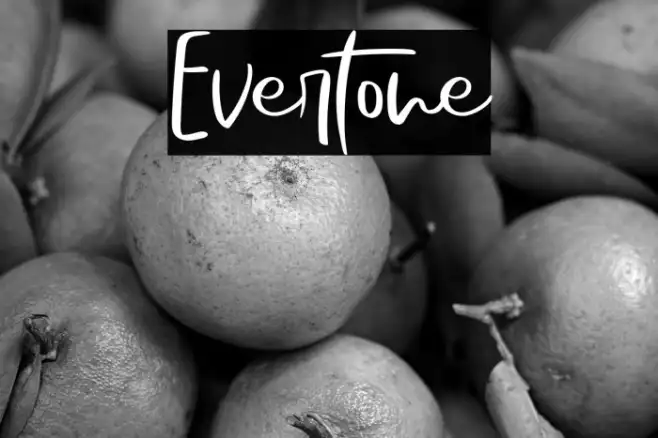 Evertone Example 2