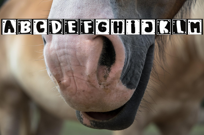 Every Body Example 1