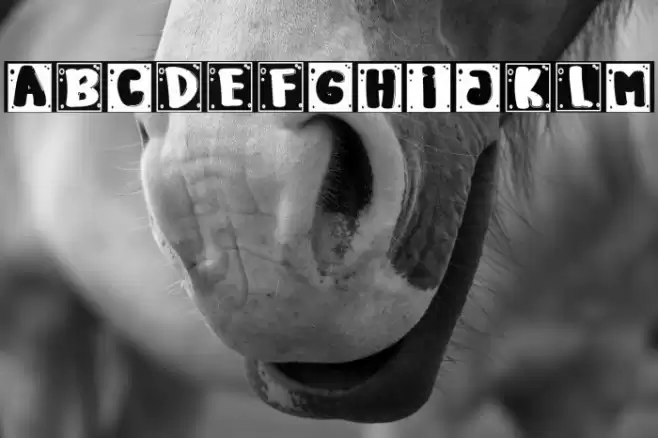 Every Body Caratteri examples