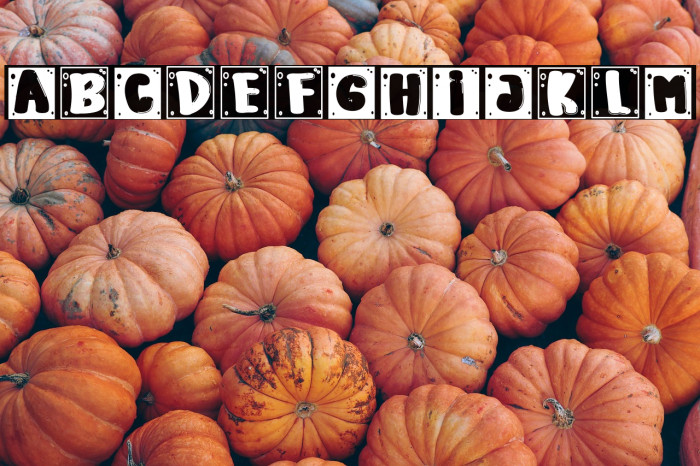 Every Body Example 2