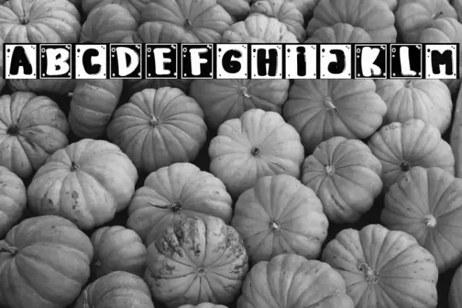 Every Body Caratteri examples