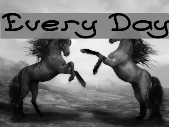 Every Day Font examples