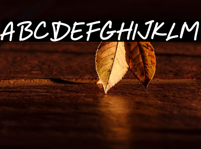 Every Dreams Example 3