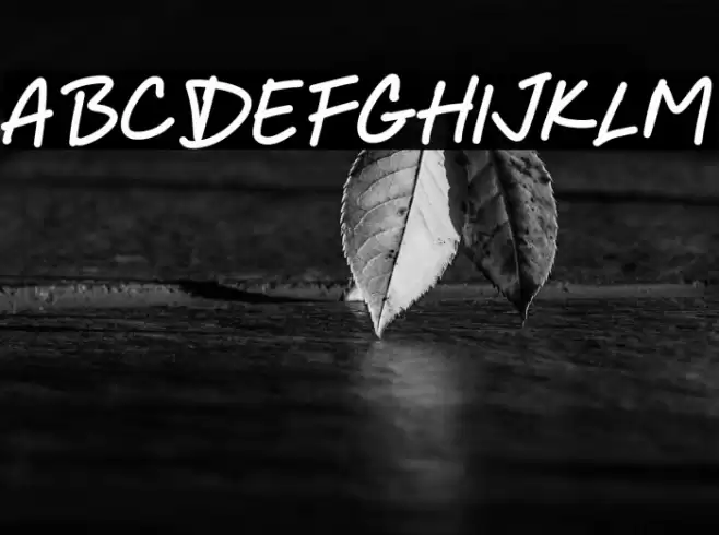 Every Dreams Font examples