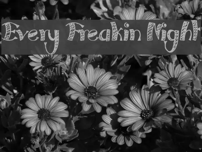 Every Freakin Night Font examples
