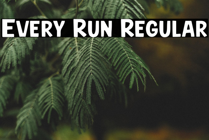 Every Run Regular Example 1