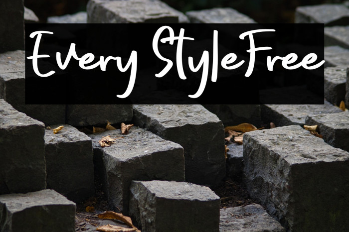 Every StyleFree Example 1