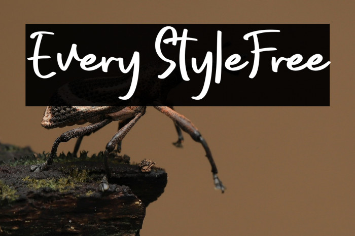 Every StyleFree Example 2