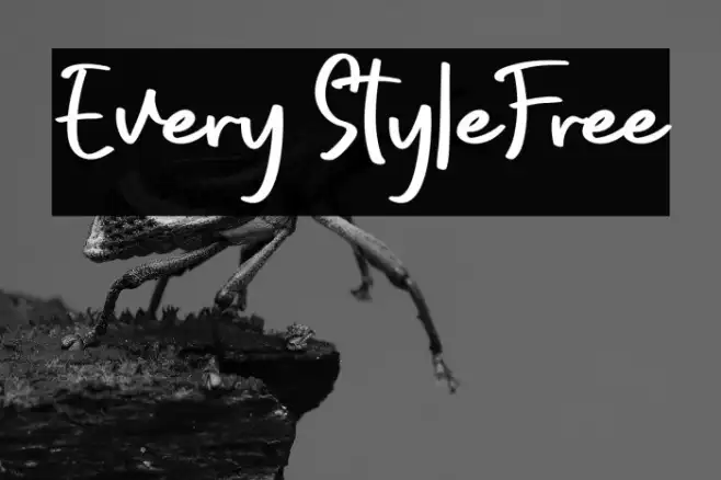Every StyleFree Example 2