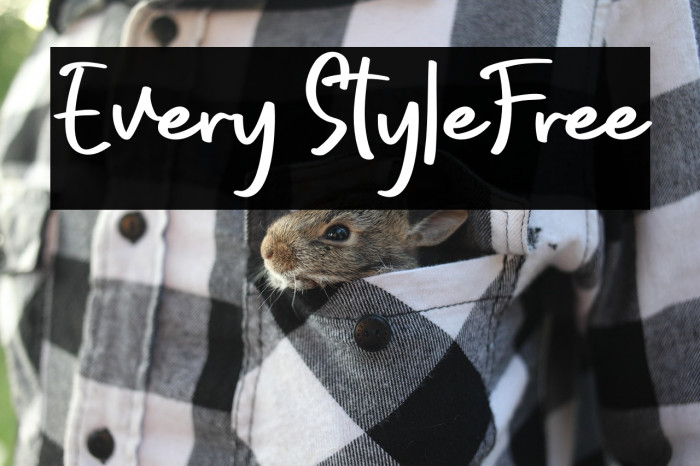 Every StyleFree Example 3