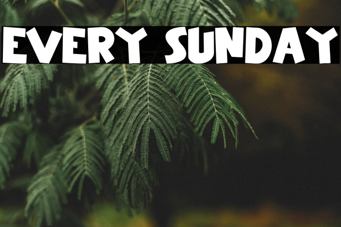 Every Sunday Example 1