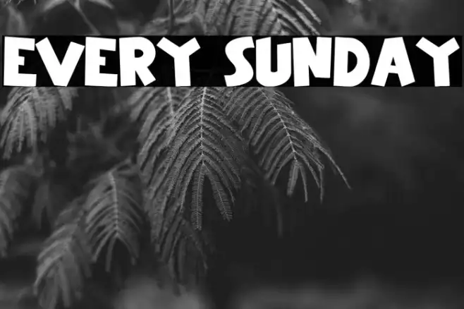 Every Sunday Example 1