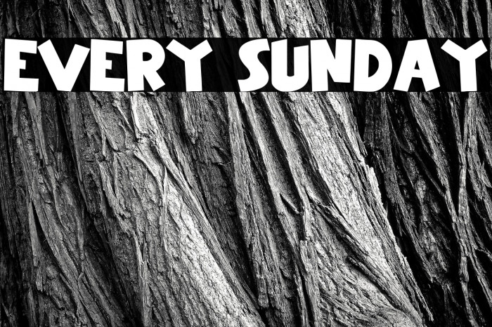 Every Sunday Example 2
