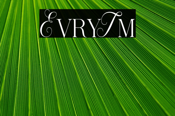 Every Time Example 2