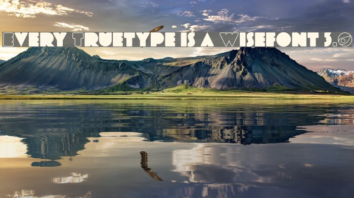 Every Truetype is a Wisefont 3.0 Font examples