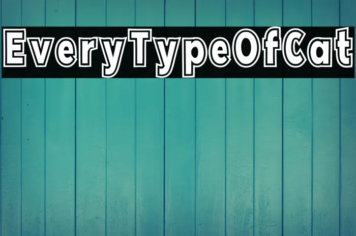 Every Type Of Cat Example 2