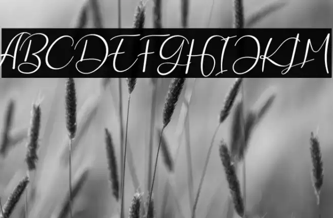 Every Way फ़ॉन्ट examples