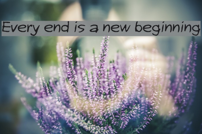 Every end is a new beginning Font examples