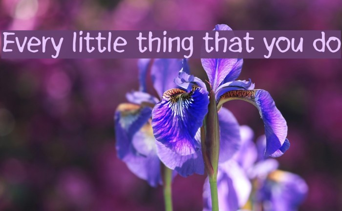 Every little thing that you do Font examples