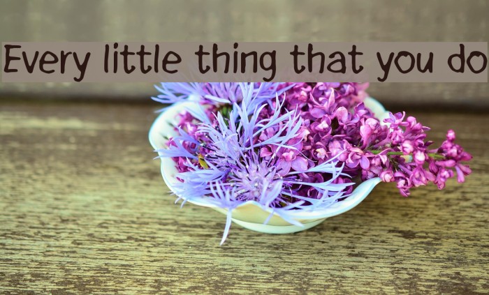 Every little thing that you do Font examples