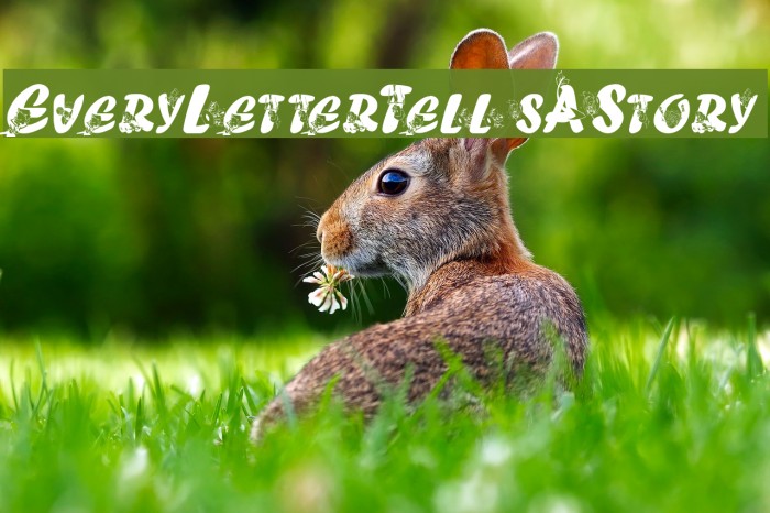 EveryLetterTellsAStory Font examples
