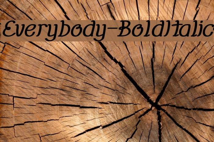 Everybody-BoldItalic Font examples
