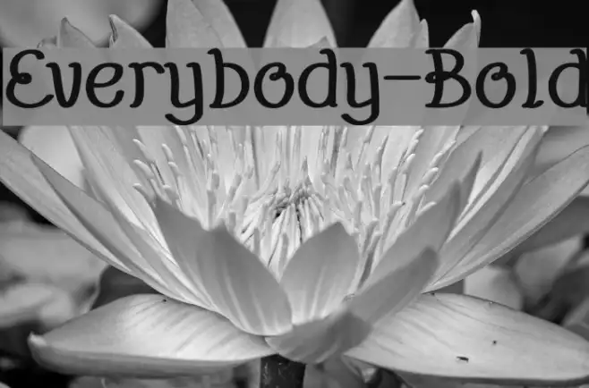 Everybody-Bold Example 1