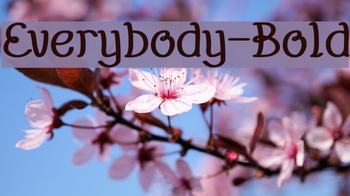 Everybody-Bold Font examples