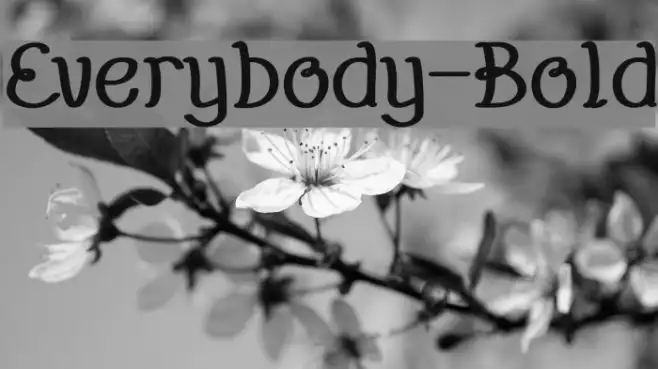 Everybody-Bold Example 2