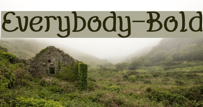 Everybody-Bold Font examples