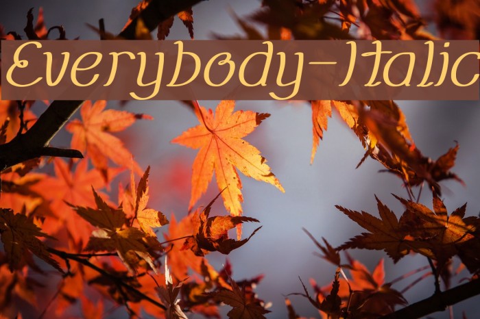Everybody-Italic Example 1