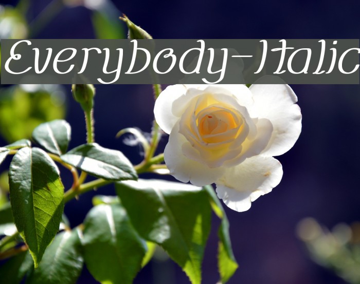 Everybody-Italic Example 3