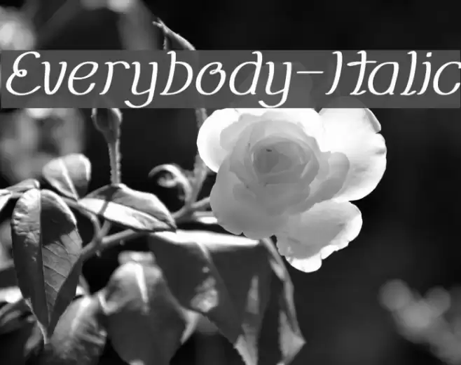 Everybody-Italic Font examples