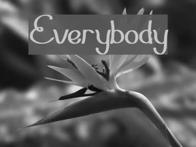 Everybody Font examples