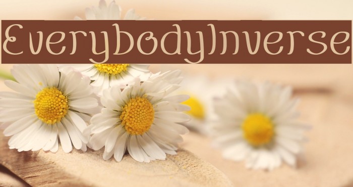 EverybodyInverse Font examples