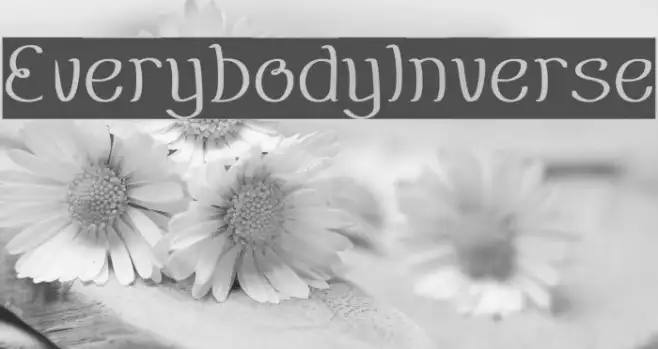 EverybodyInverse Example 2
