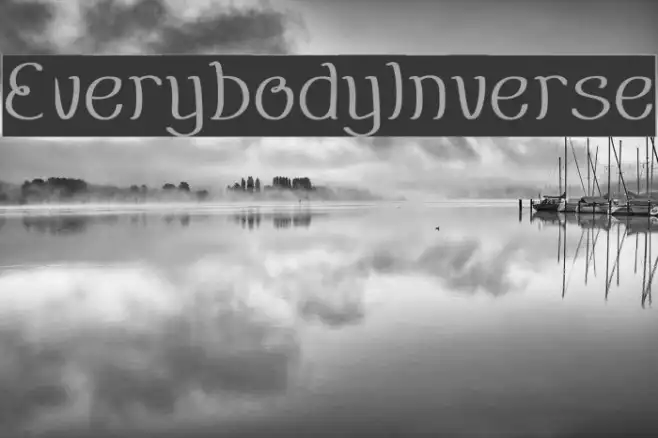 EverybodyInverse Example 3