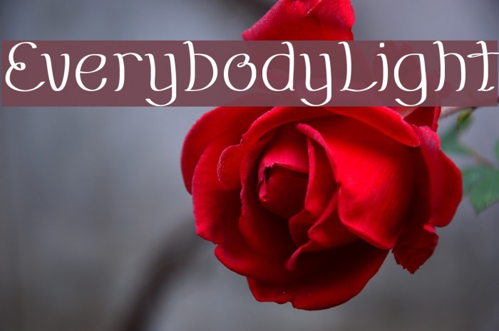 EverybodyLight Font examples