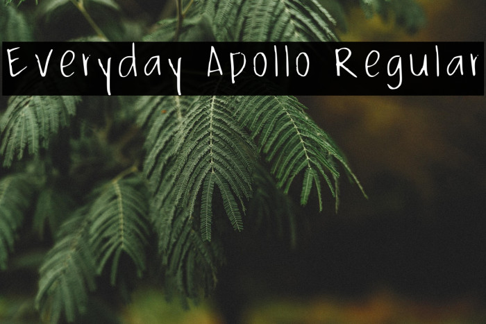 Everyday Apollo Regular Fuentes examples