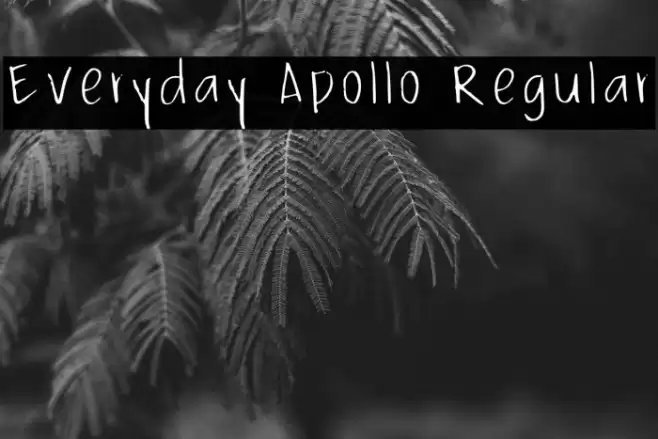 Everyday Apollo Regular Font examples