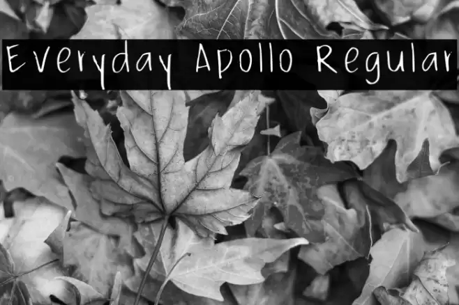 Everyday Apollo Regular Font examples